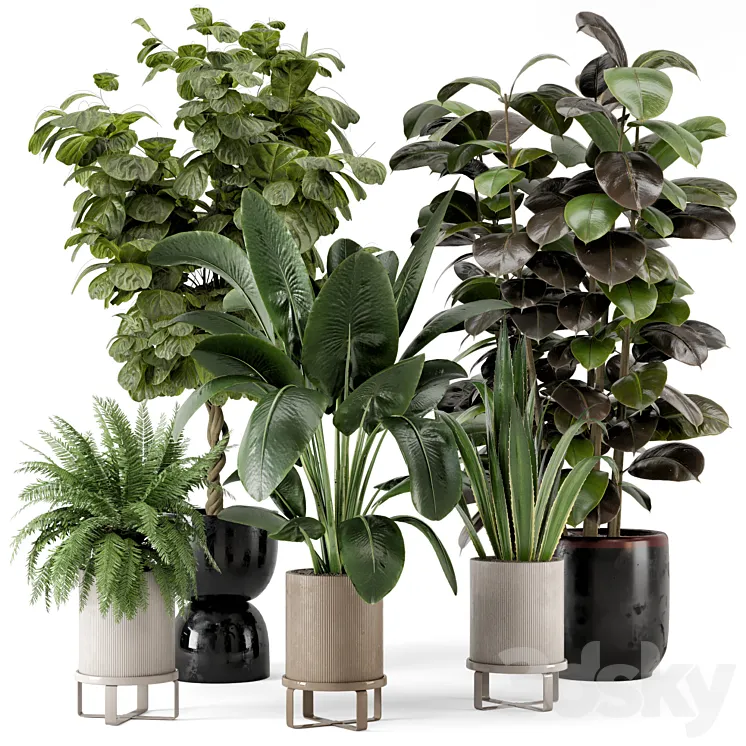 Indoor Plants in Ferm Living Bau Pot Large – Set 299 3DS Max Model