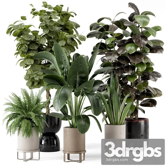 Indoor plants in ferm living bau pot large – set 299