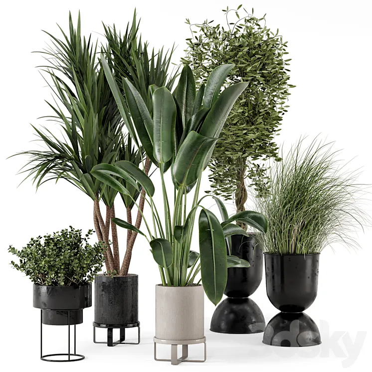 Indoor Plants in Ferm Living Bau Pot Large – Set 312 3DS Max