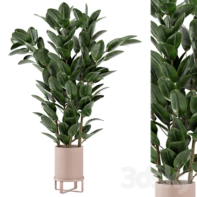 Indoor Plants in Ferm Living Bau Pot Large – Set 346 3ds Max