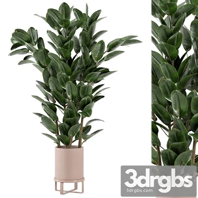 Indoor plants in ferm living bau pot large – set 346