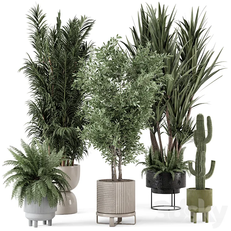 Indoor Plants in Ferm Living Bau Pot Large – Set 362 3DS Max Model