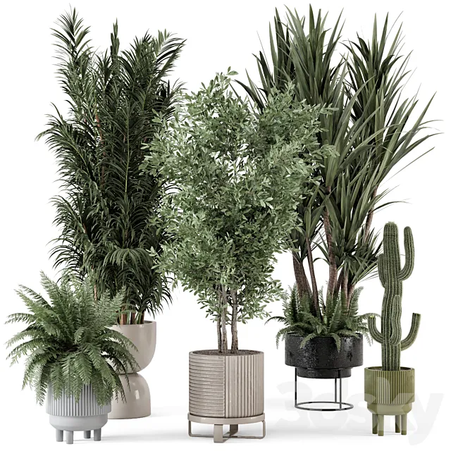 Indoor Plants in Ferm Living Bau Pot Large – Set 362 3DSMax File