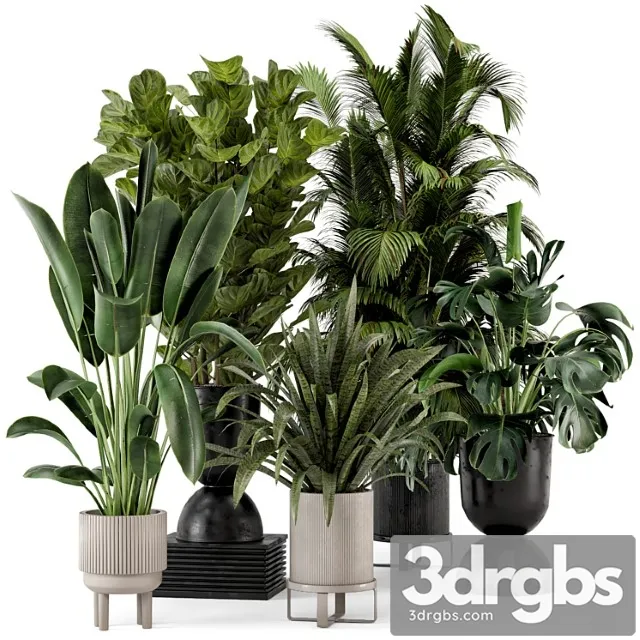 Indoor plants in ferm living bau pot large – set 376