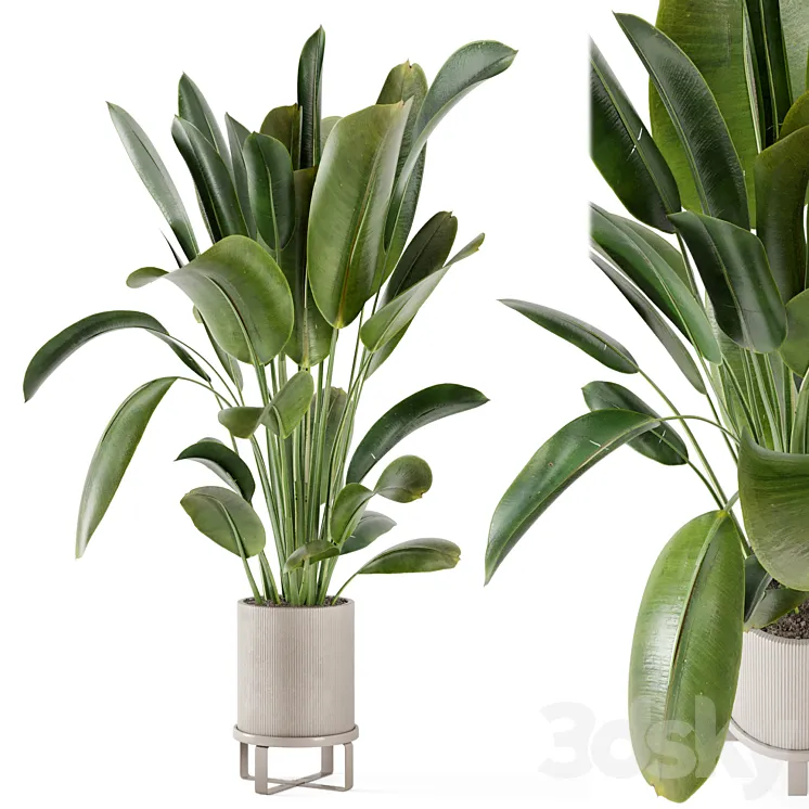 Indoor Plants in Ferm Living Bau Pot Large – Set 378 3DS Max Model