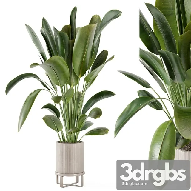 Indoor plants in ferm living bau pot large – set 378