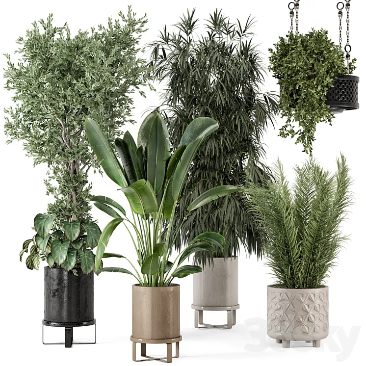 Indoor Plants in Ferm Living Bau Pot Large – Set 474 3DS Max Model
