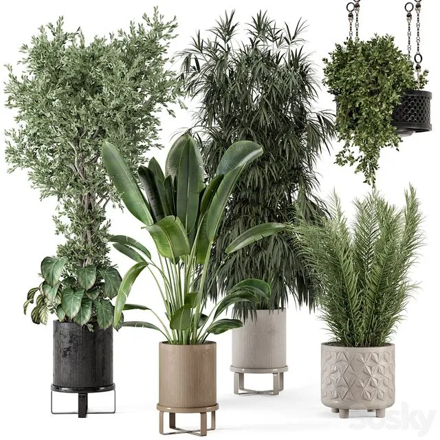 Indoor Plants in Ferm Living Bau Pot Large Set 474 3dsMax Model