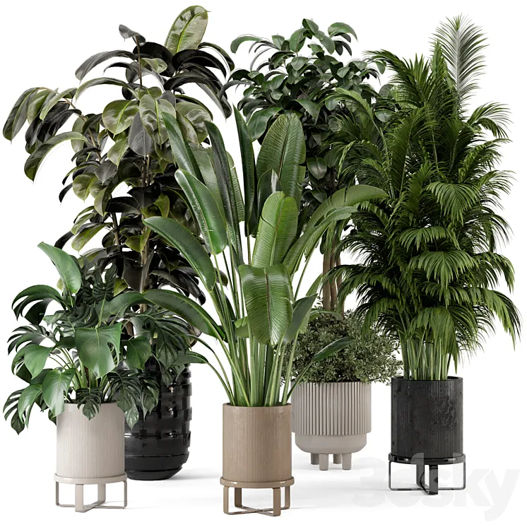 Indoor Plants in Ferm Living Bau Pot Large – Set 548 3DS Max Model