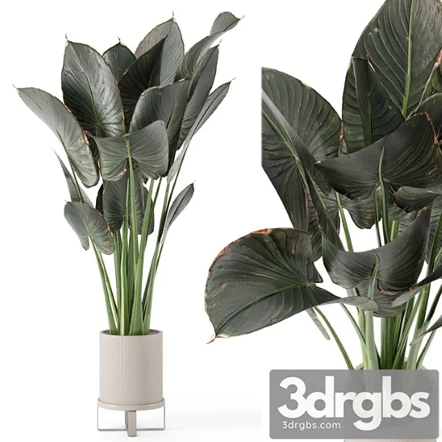 Indoor plants in ferm living bau pot large – set 555