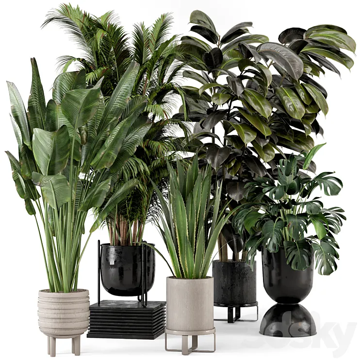 Indoor Plants in Ferm Living Bau Pot Large – Set 572 3DS Max Model