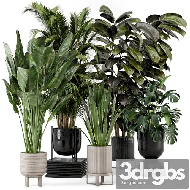 Indoor plants in ferm living bau pot large – set 572