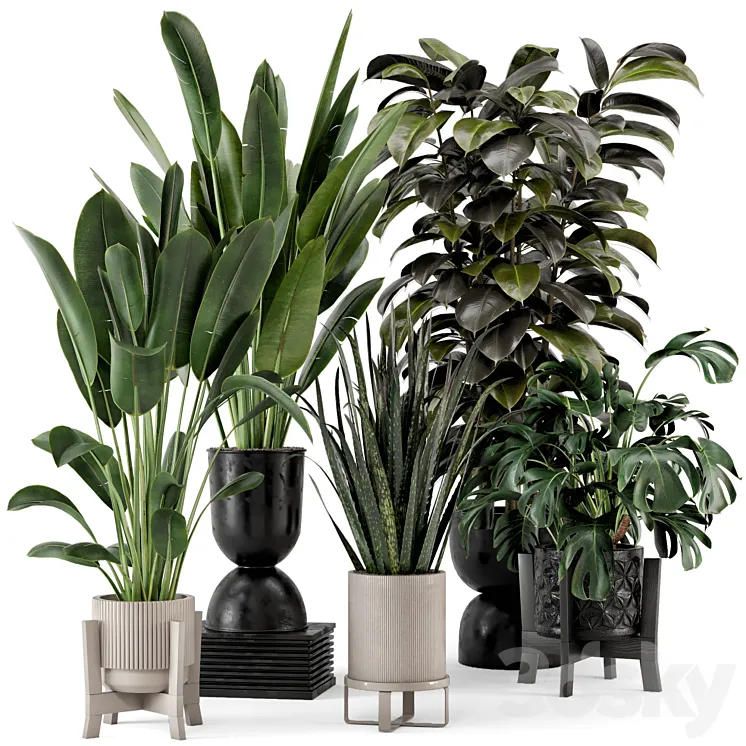 Indoor Plants in Ferm Living Bau Pot Large – Set 583 3DS Max Model
