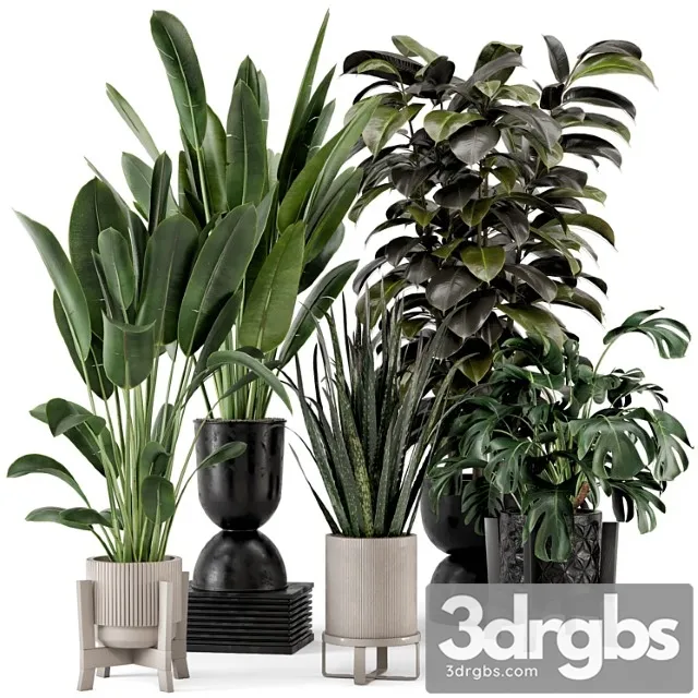 Indoor plants in ferm living bau pot large – set 583