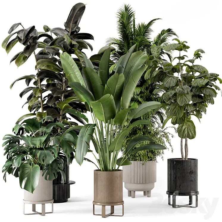 Indoor Plants in Ferm Living Bau Pot Large – Set 734 3DS Max Model
