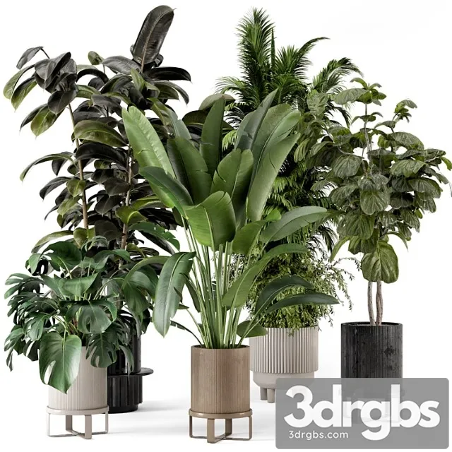 Indoor plants in ferm living bau pot large – set 734