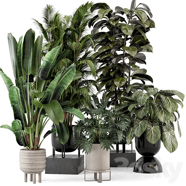 Indoor Plants in Ferm Living Bau Pot Large – Set 740 3DS Max Model