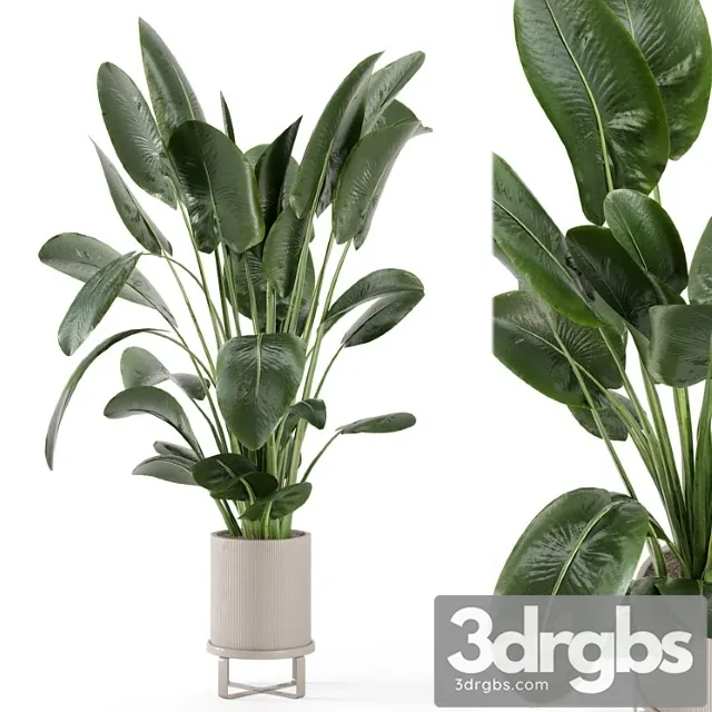 Indoor plants in ferm living bau pot large – set 765