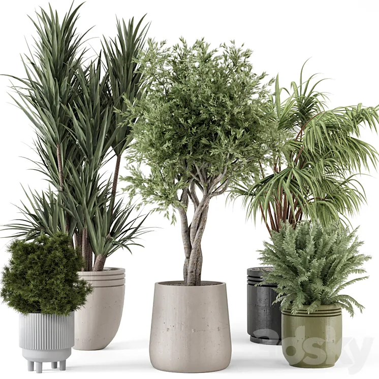 Indoor Plants in Ferm Living Bau Pot Large – Set 817 3DS Max Model