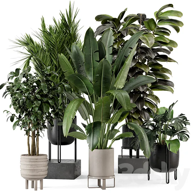 Indoor Plants in Ferm Living Bau Pot Large – Set 879 3DS Max Model