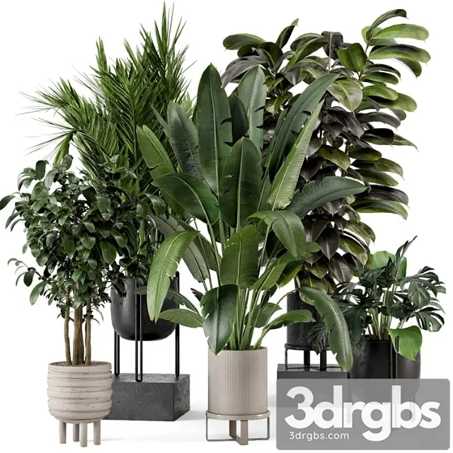 Indoor plants in ferm living bau pot large – set 879