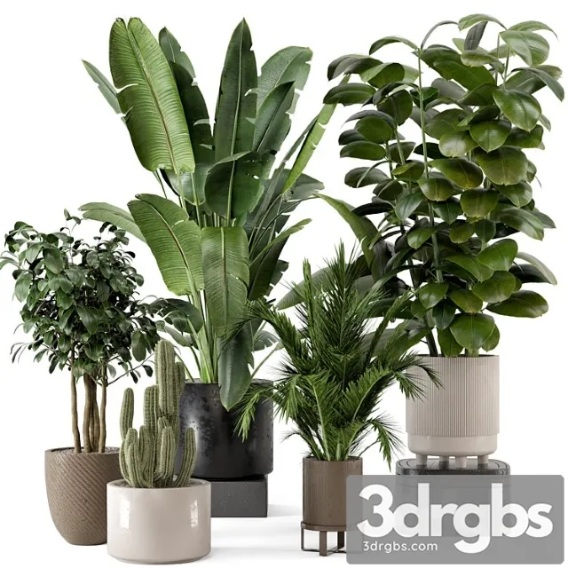 Indoor plants in ferm living bau pot large – set 926