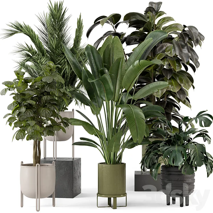 Indoor Plants in Ferm Living Bau Pot Large – Set 976 3DS Max Model