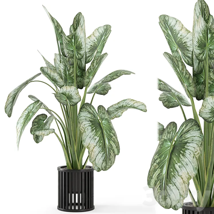 Indoor Plants in Metal Pot – Set 842 3DS Max Model