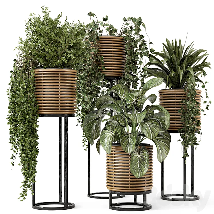 Indoor Plants in natural rattan Pot on Metal Base – Set 592 3DS Max