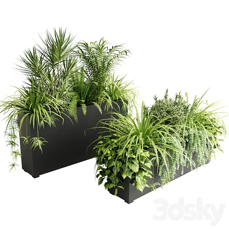 Indoor plants in outdoor boxes 3DS Max