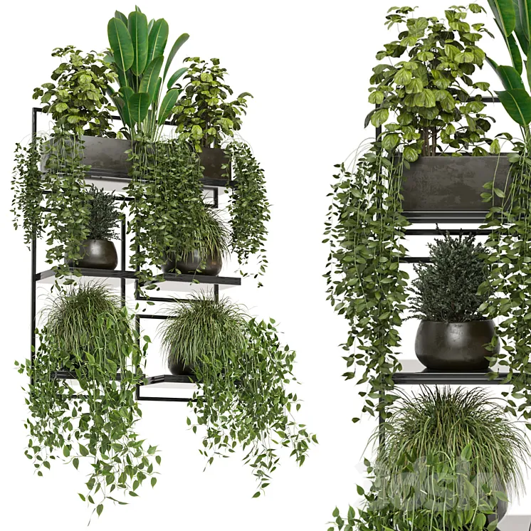 indoor plants in rusty concrete pot on metal shelf – Set 207 3DS Max