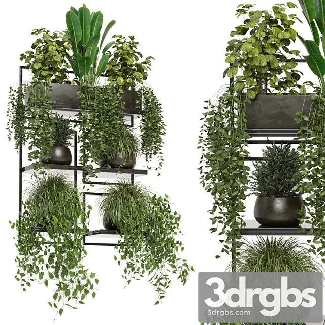 Indoor plants in rusty concrete pot on metal shelf – set 207