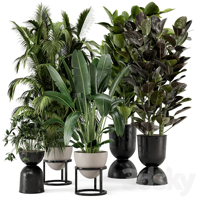 Indoor Plants in rusty Concrete Pot on Metal Shelf – Set 242 3DSMax File