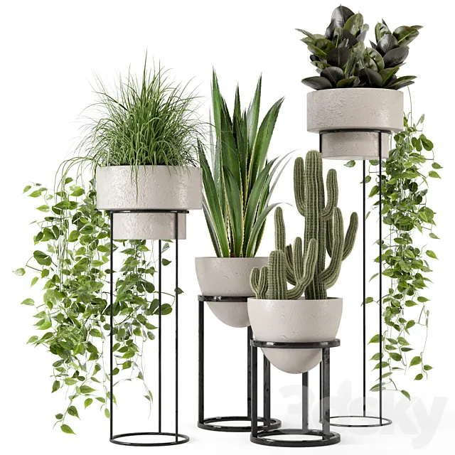 Indoor Plants in rusty Concrete Pot on Metal Shelf – Set 327 3DS Max Model