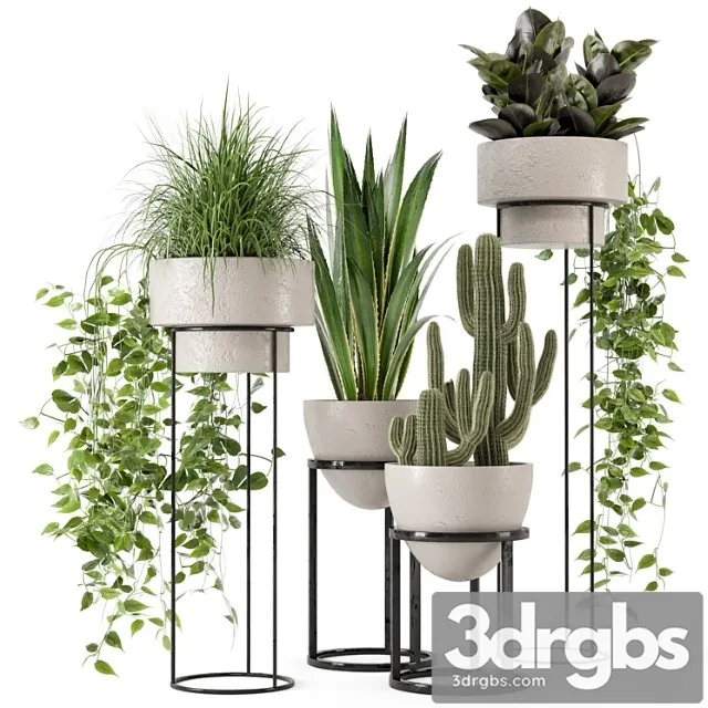 Indoor plants in rusty concrete pot on metal shelf – set 327