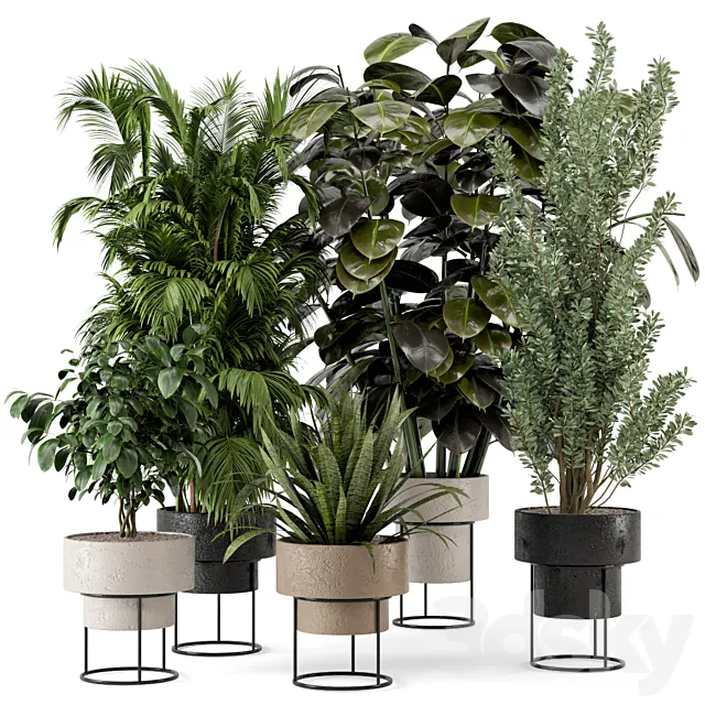 Indoor Plants in rusty Concrete Pot on Metal Shelf – Set 328 3DS Max Model