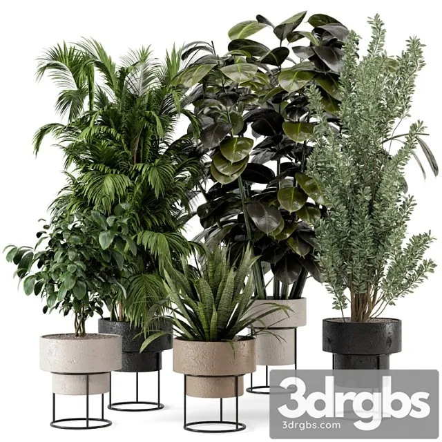 Indoor plants in rusty concrete pot on metal shelf – set 328