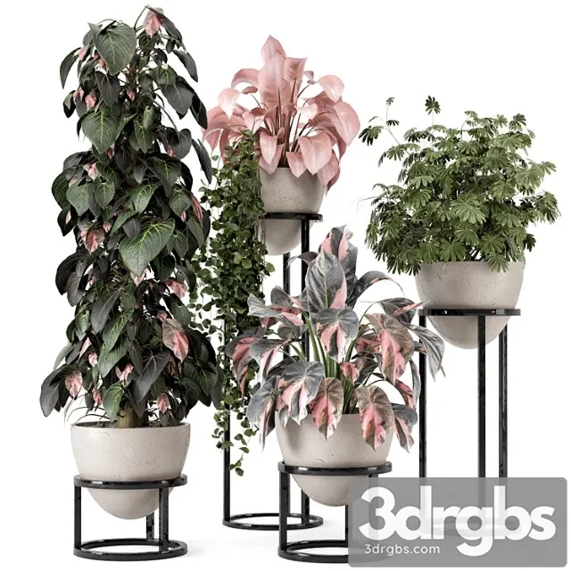 Indoor plants in rusty concrete pot on metal shelf – set 964