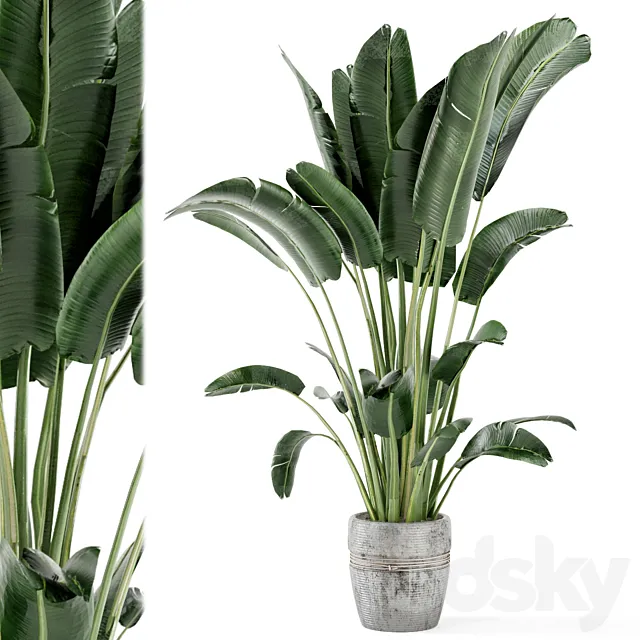 Indoor Plants in rusty Concrete Pot – Set 124 3DS Max Model