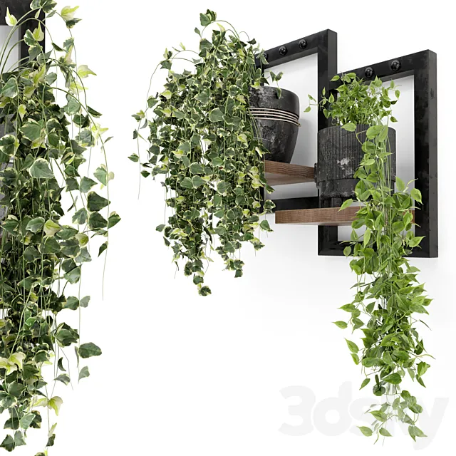 Indoor Plants in rusty Concrete Pot – Set 150 3DS Max Model