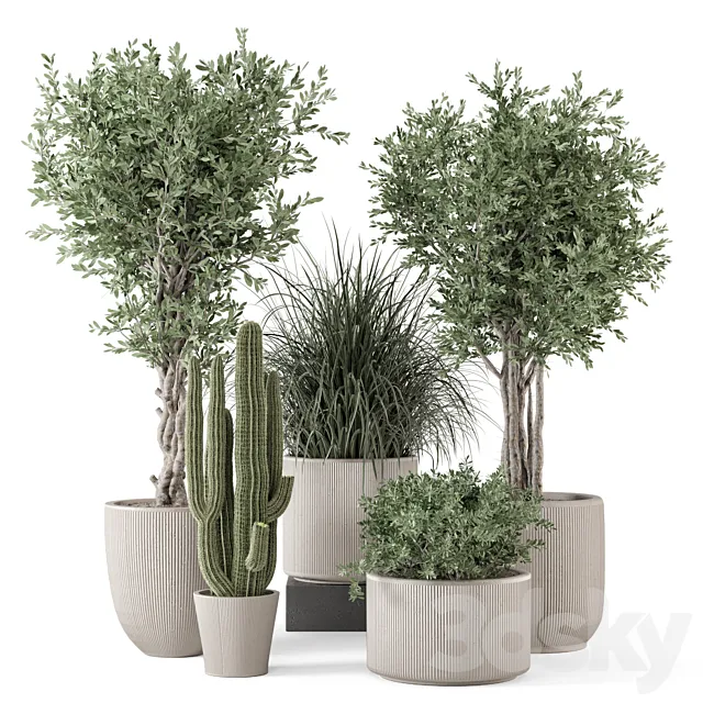 Indoor Plants in rusty Concrete Pot – Set 1911 3ds Max