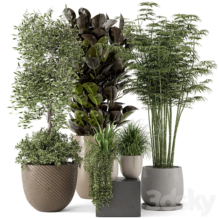 Indoor Plants in rusty Concrete Pot – Set 229 3DS Max Model