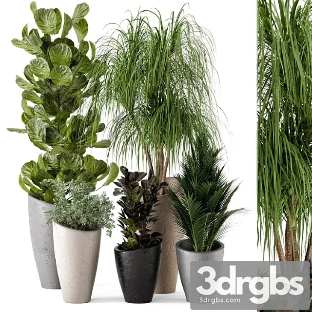 Indoor plants in rusty concrete pot – set 240