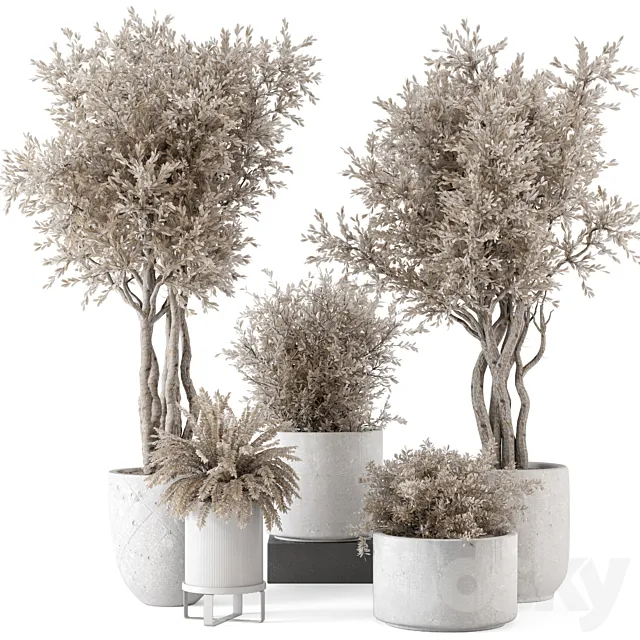 Indoor Plants in rusty Concrete Pot – Set 809 3ds Max