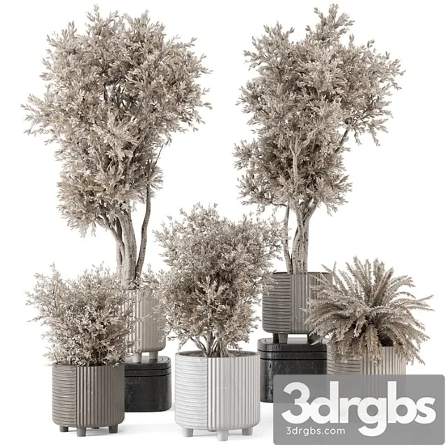 Indoor plants in rusty concrete pot – set 905