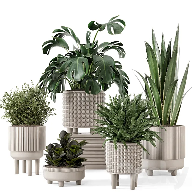 Indoor Plants in Standing Legs Small Bowl Concrete Pot – Set 1041 3ds Max