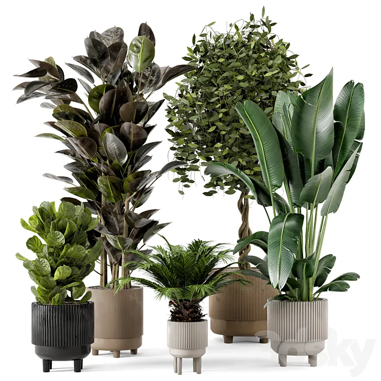 Indoor Plants in Standing Legs Small Bowl Concrete Pot – Set 212 3DS Max