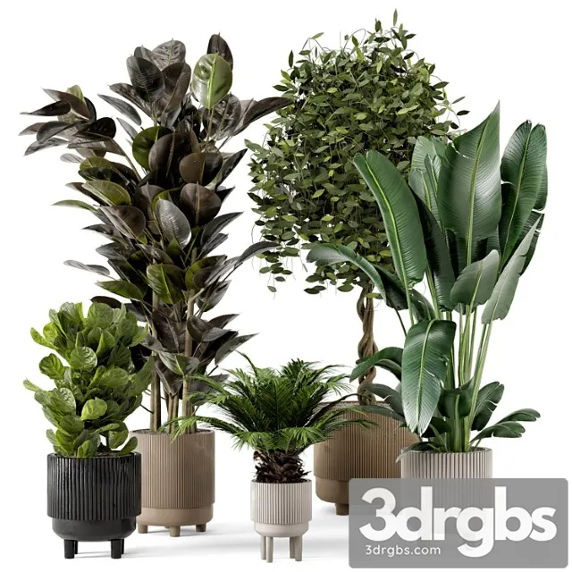 Indoor plants in standing legs small bowl concrete pot – set 212