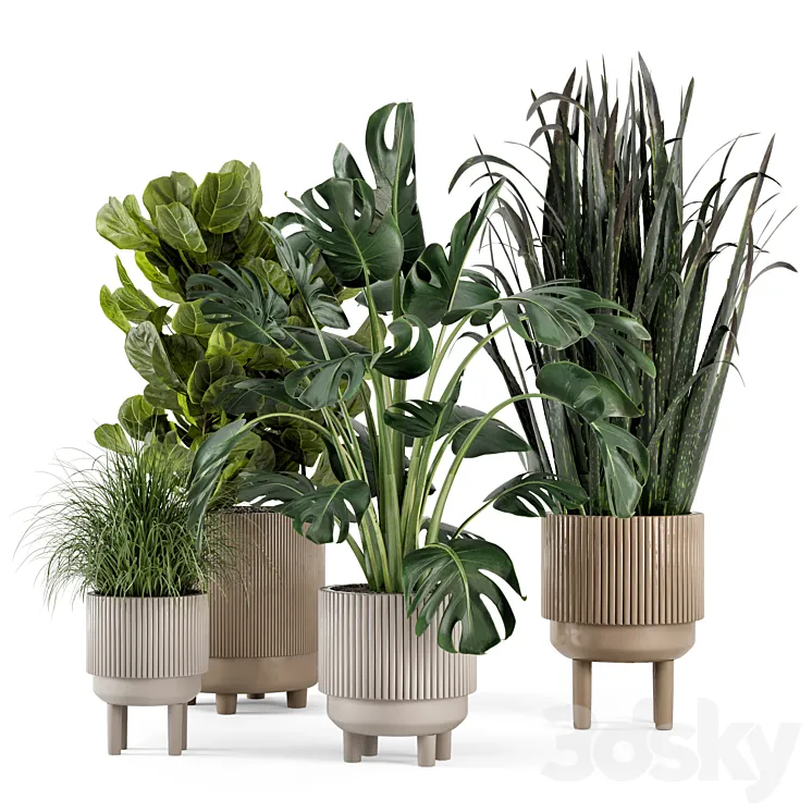 Indoor Plants in Standing Legs Small Bowl Concrete Pot – Set 214 3DS Max Model