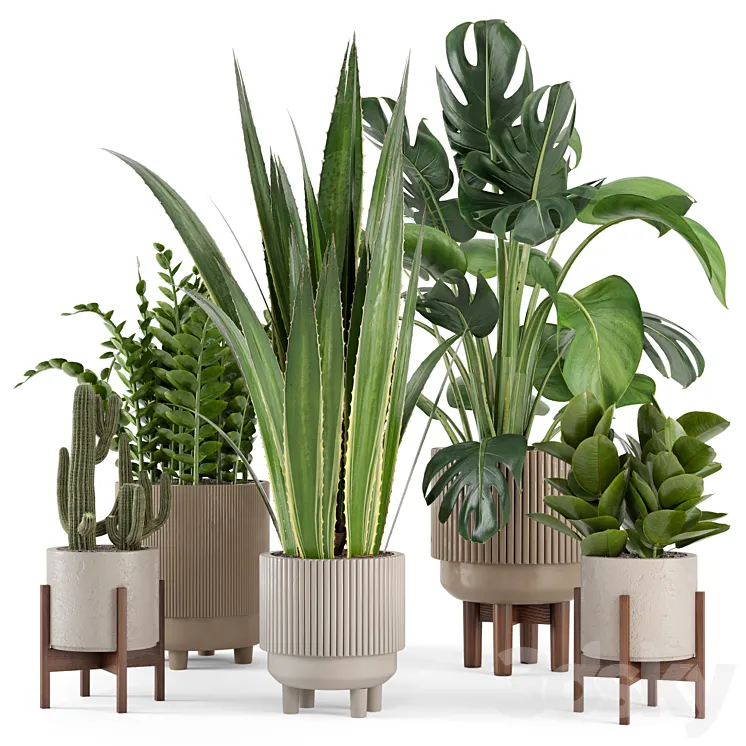 Indoor Plants in Standing Legs Small Bowl Concrete Pot – Set 245 3DS Max